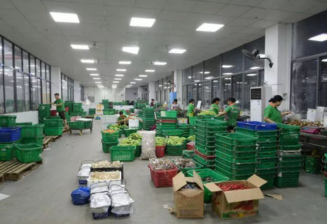 生鲜商家如何智能分拣,微唯宝生鲜分拣系统可免费试用